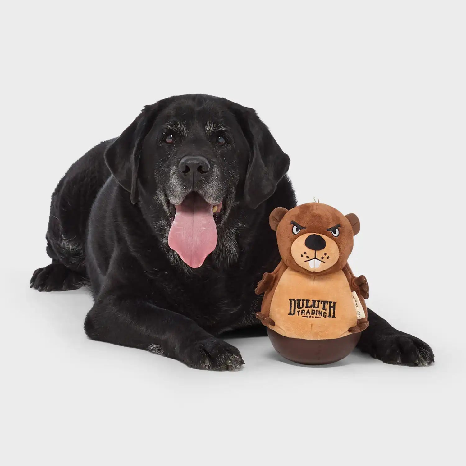duluthtrading.it.com