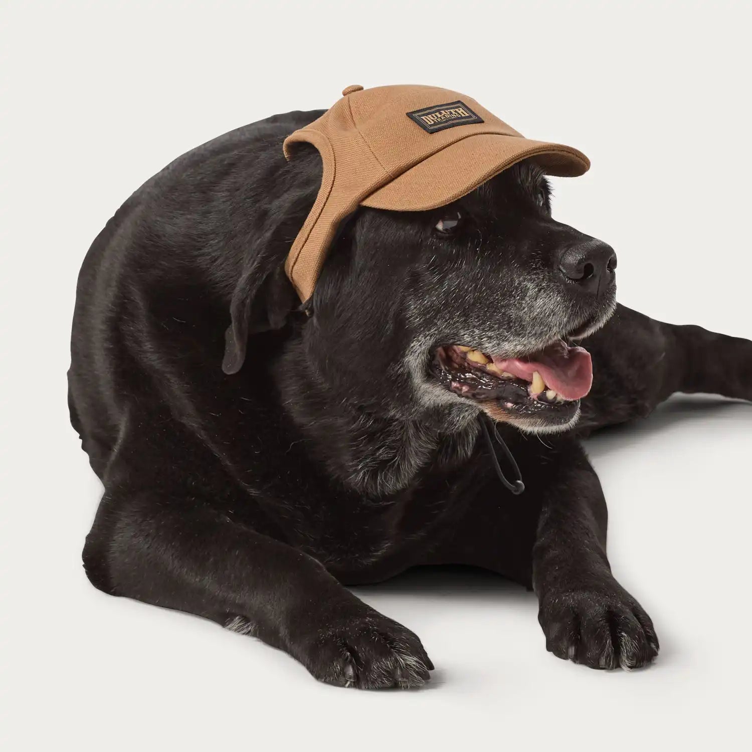 duluthtrading.it.com