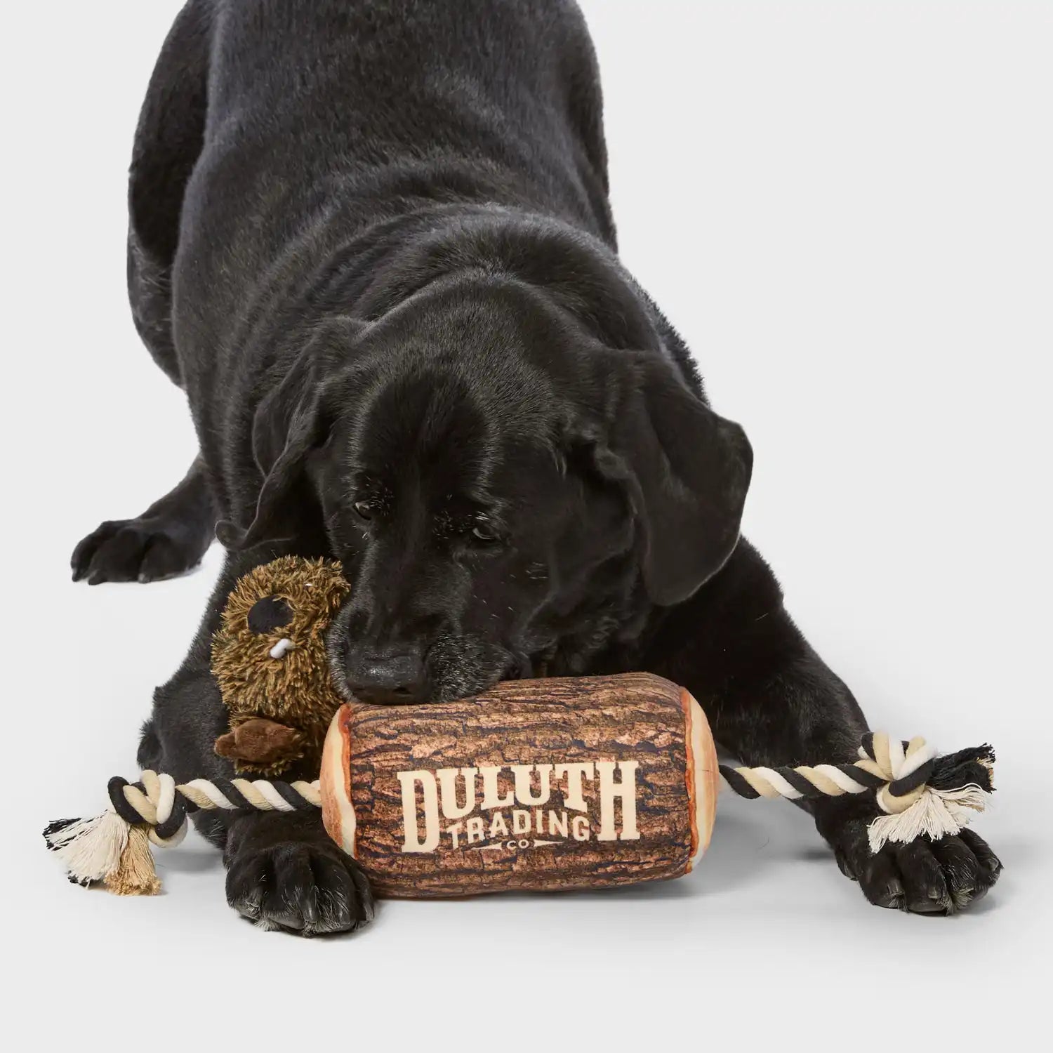 duluthtrading.it.com