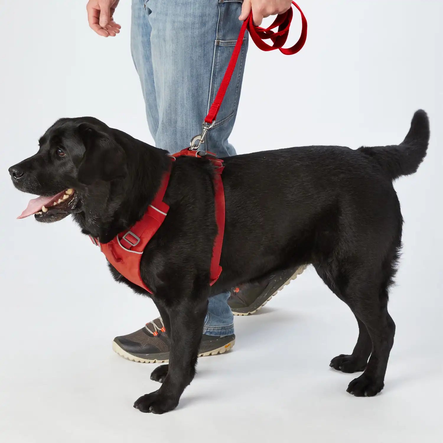 duluthtrading.it.com