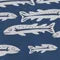 duluthtrading.it.com