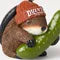 duluthtrading.it.com