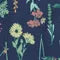 duluthtrading.it.com