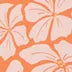 duluthtrading.it.com