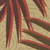 duluthtrading.it.com